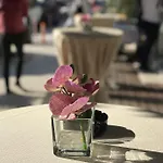 Hotel Colosseo Tirana