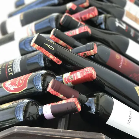 酒店 地拉那竞技场酒店 4*
