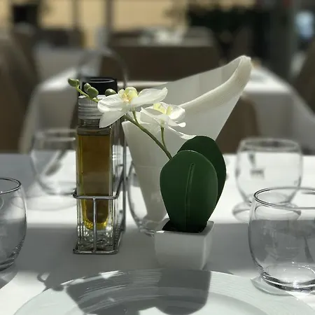 酒店 地拉那竞技场酒店