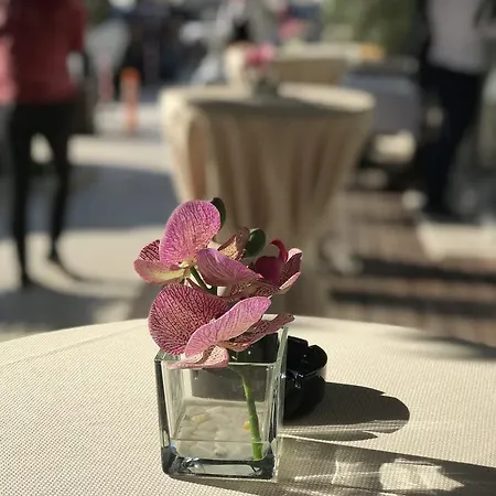 Hotel Colosseo Tirana