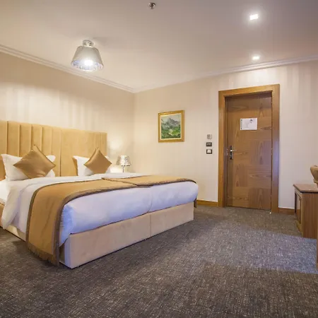 酒店 地拉那竞技场酒店 4*