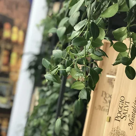 地拉那竞技场酒店 地拉那