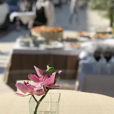 Colosseo טיראנה