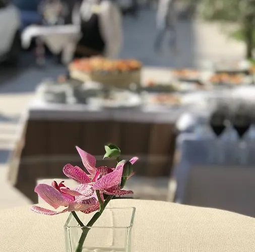 Colosseo טיראנה