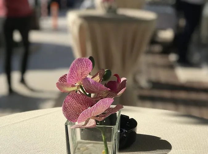 Hotel Colosseo Tirana